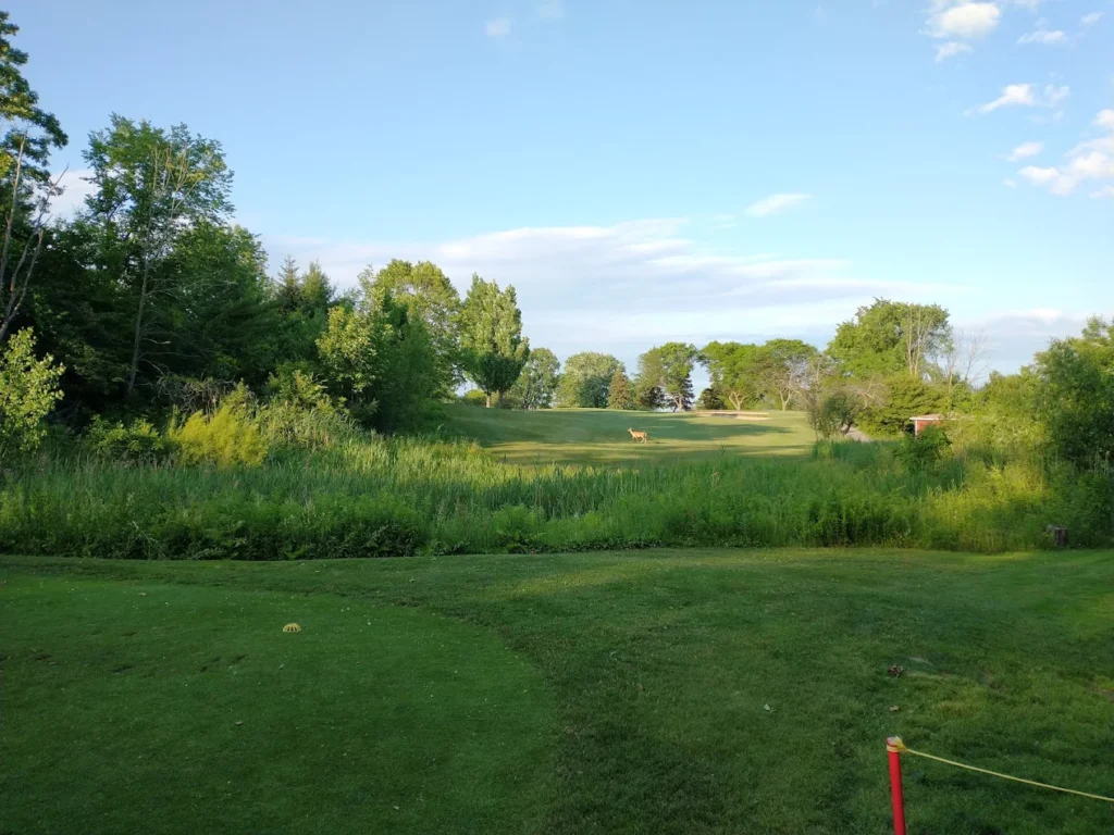 mini split cleaning service