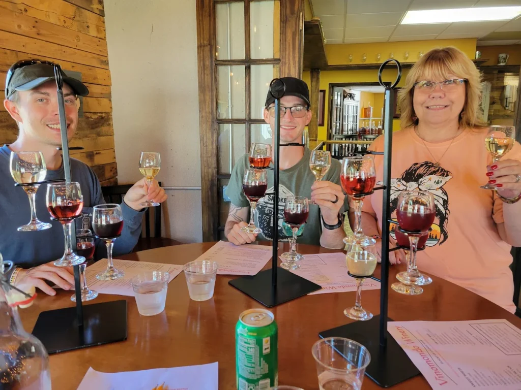 mini split cleaning service