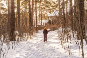 How Michigan Winters Make a Reliable Furnace a Non-Negotiable in Chesterfield Homes