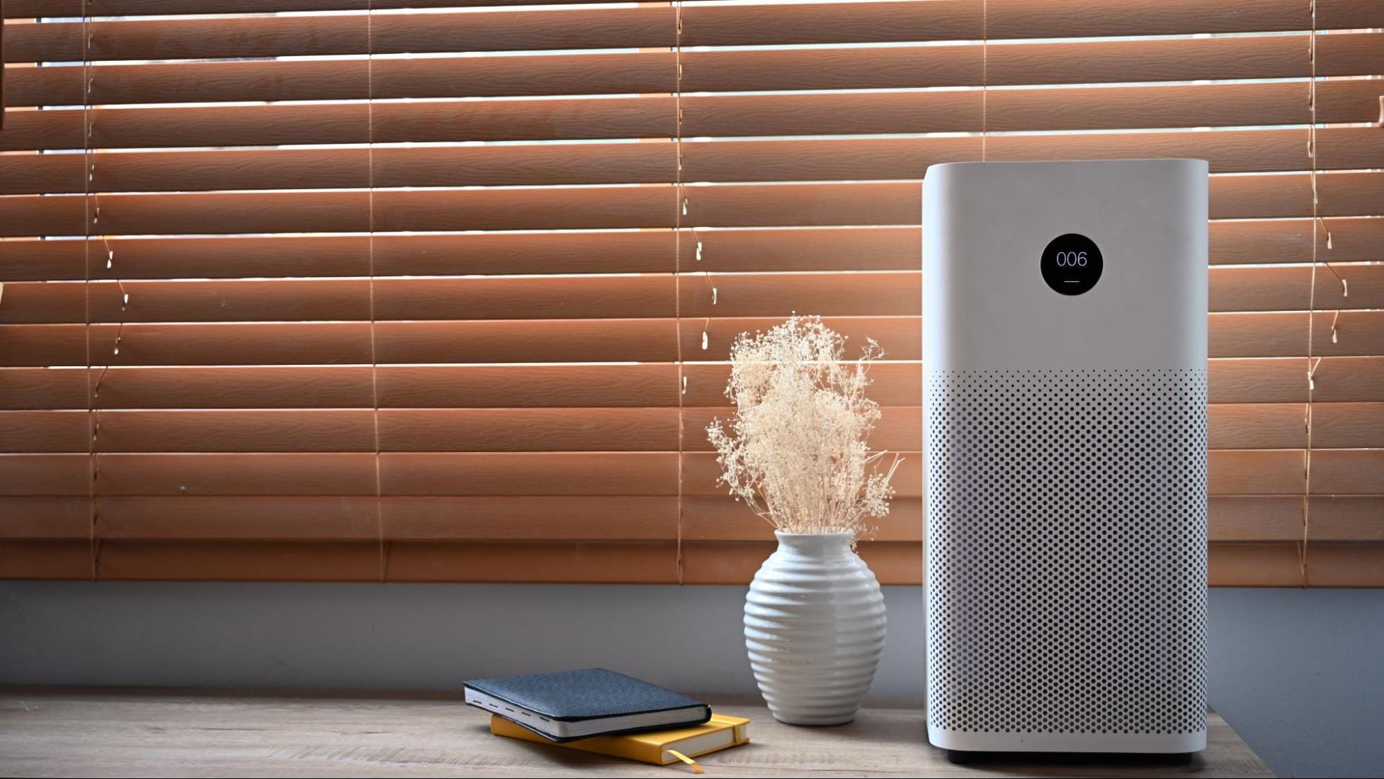 Air Purifiers