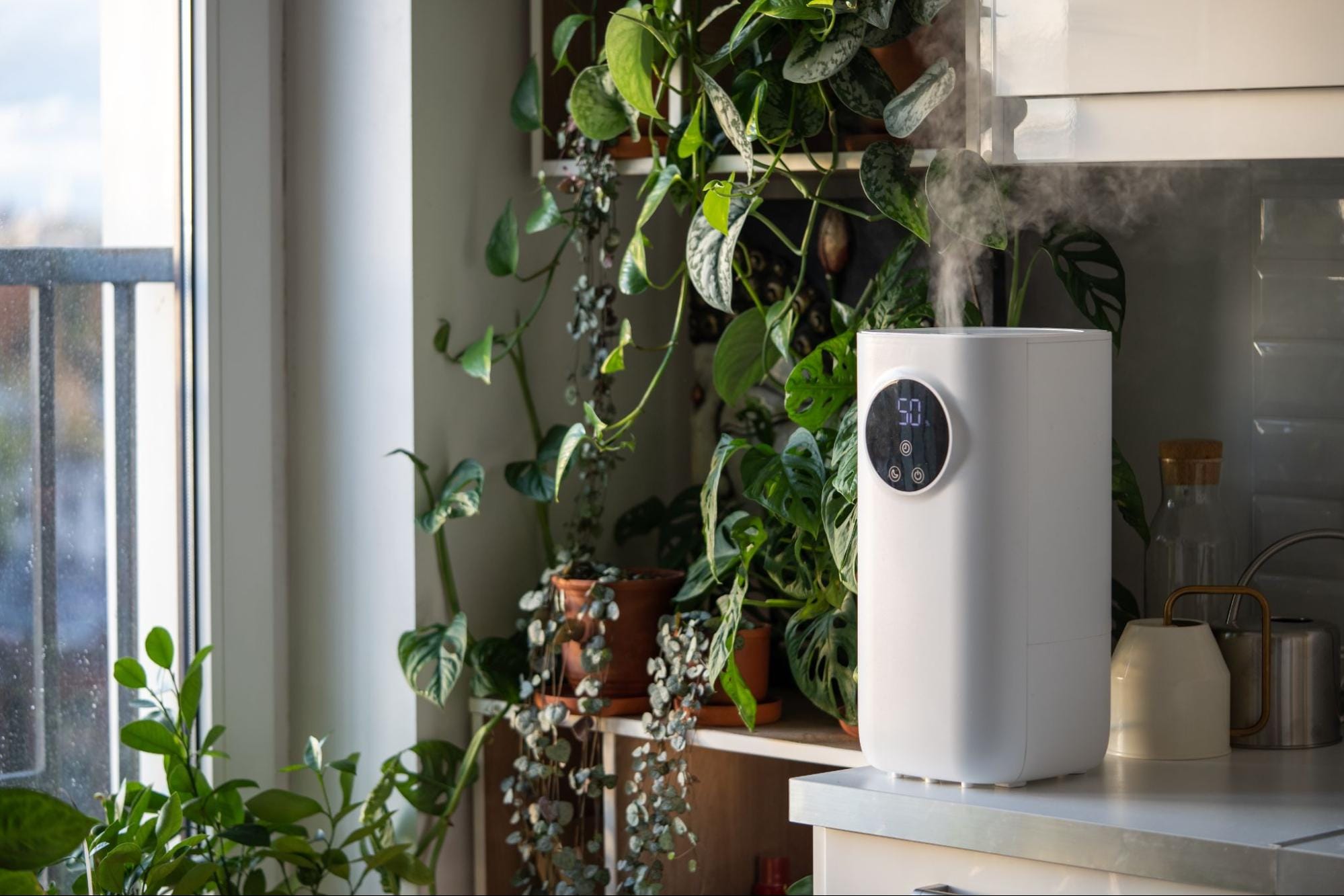 Air Purifiers