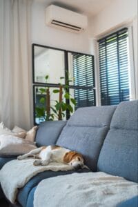 Wall-mounted mini split cooling a living room where pollen, pet dander, and dust can accumulate, underscoring the need for seasonal mini split maintenance