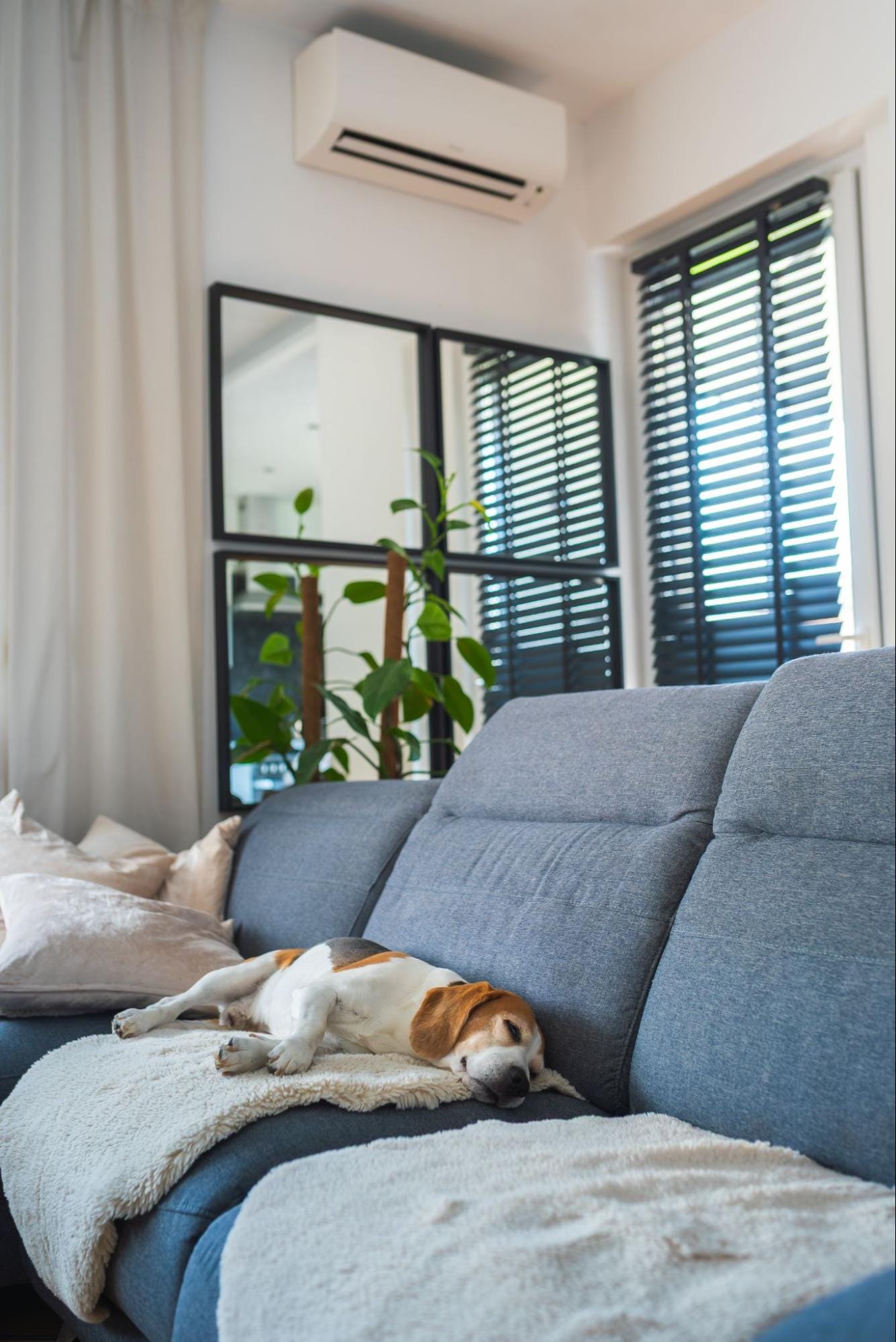 Wall-mounted mini split cooling a living room where pollen, pet dander, and dust can accumulate, underscoring the need for seasonal mini split maintenance
